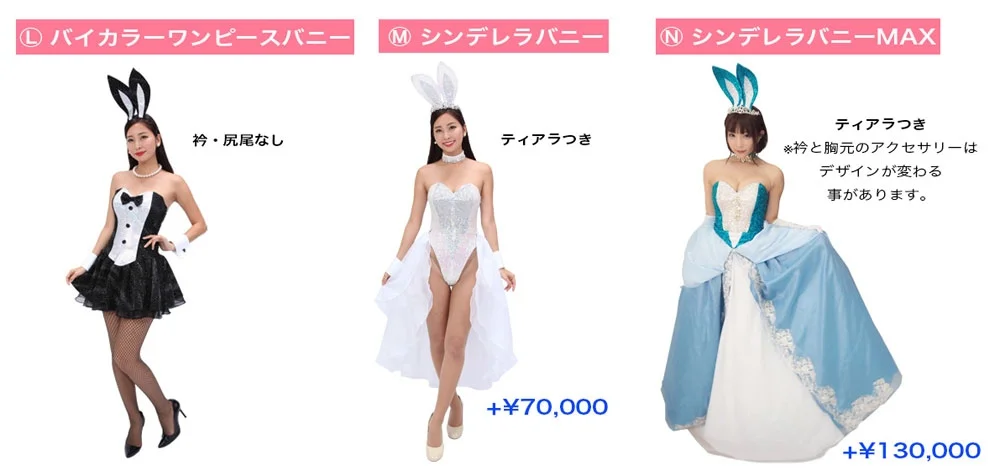 バニー衣装」各種オプションオリジナル衣装製作・販売「アトリエダーム」