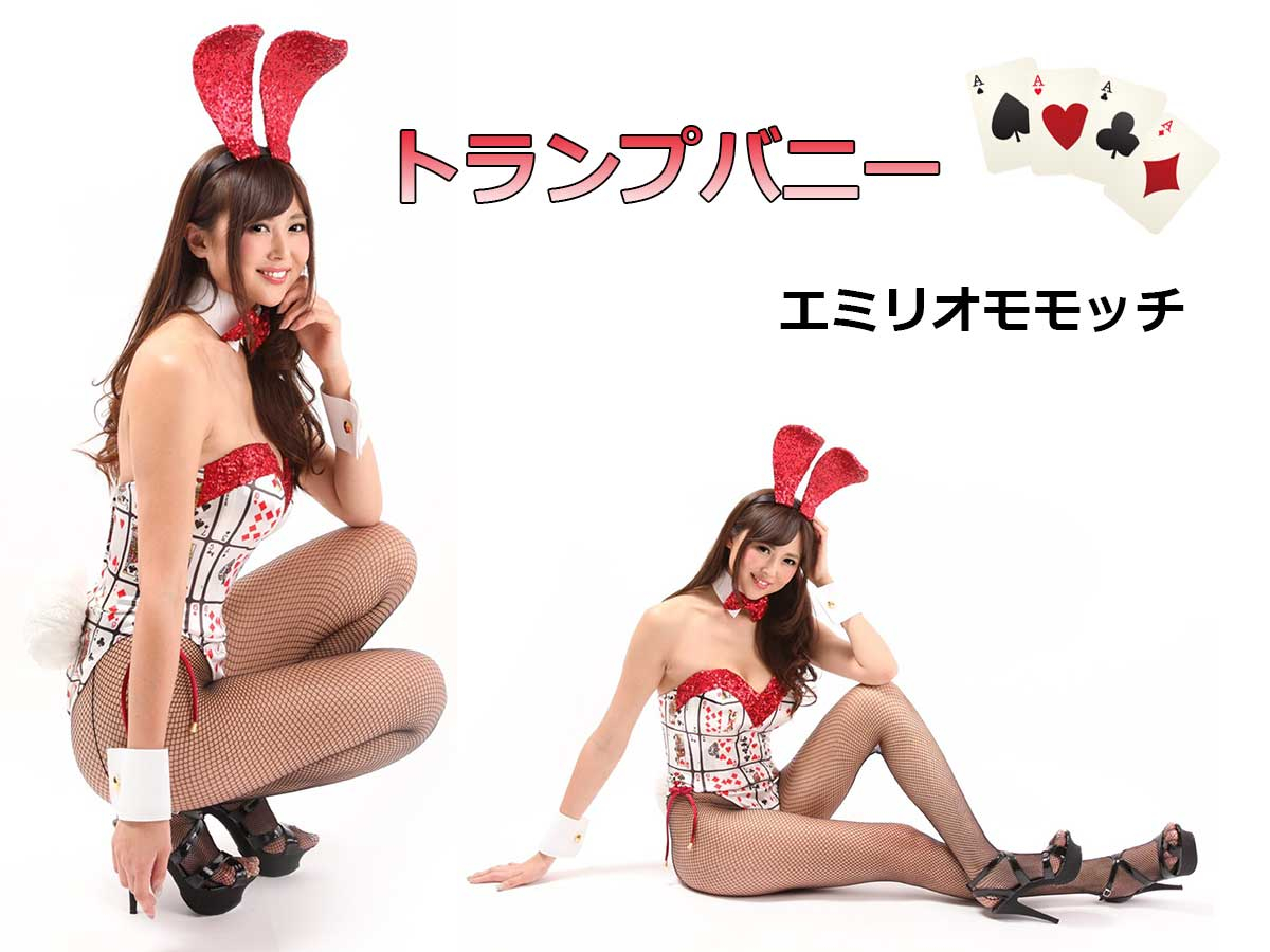 バニー衣装」実績ギャラリーオリジナル衣装製作・販売「アトリエダーム」