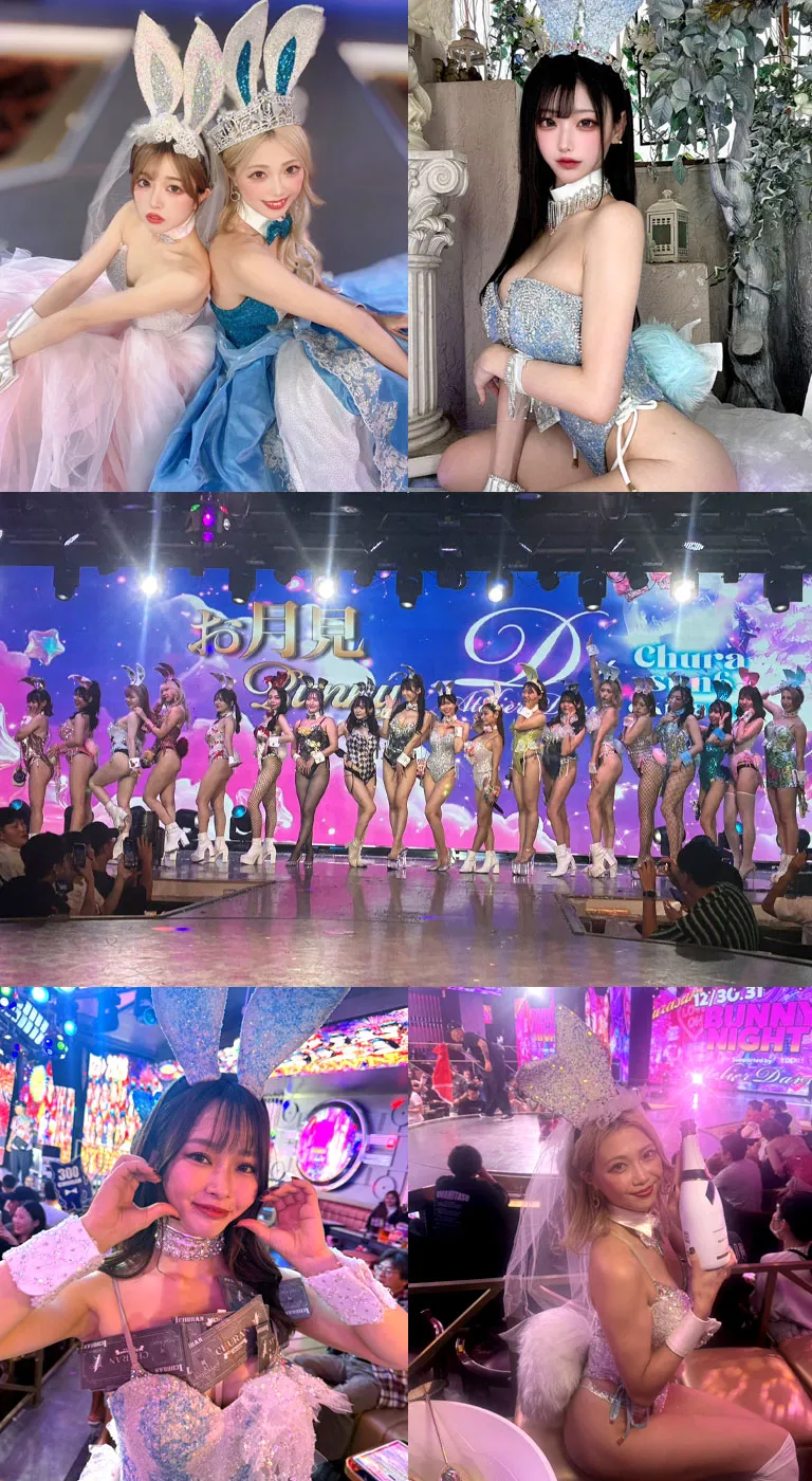 2025 collection No.1b